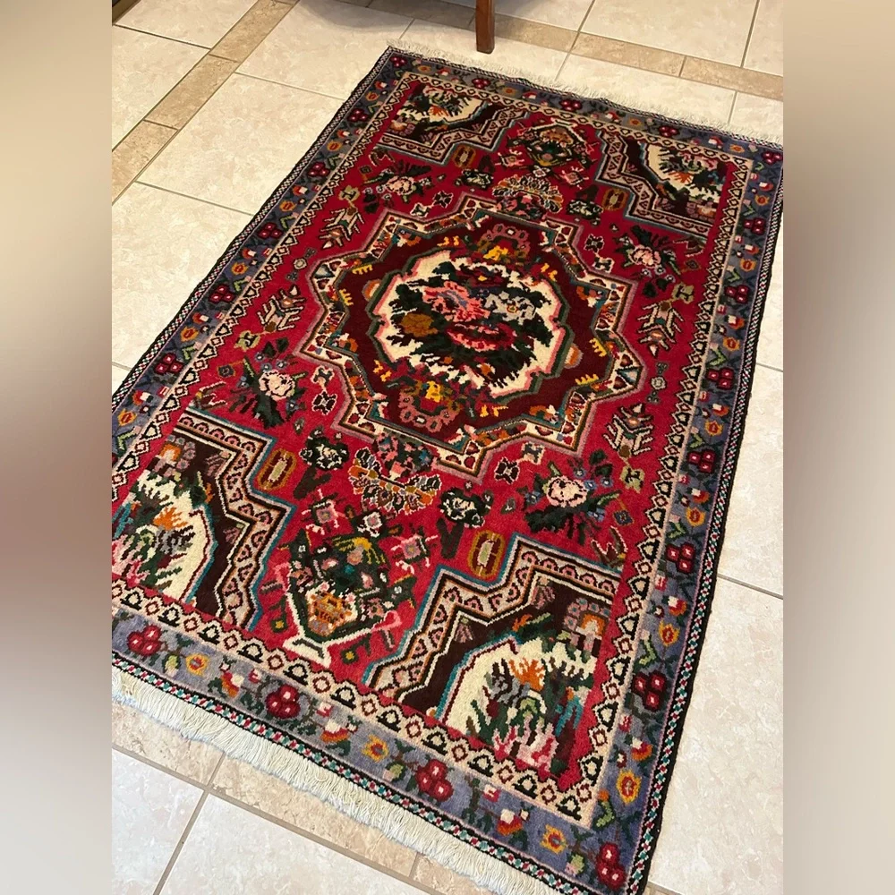Authentic Persian Hand-Knotted Wool Rug - Picture 3 of 5